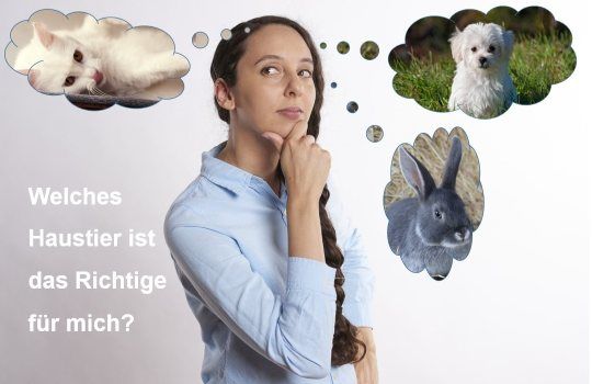 Welches Haustier ist das Richtige für mich?