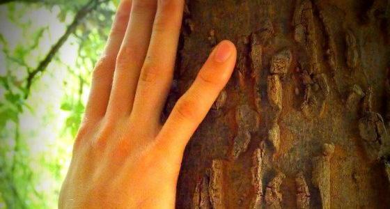 Nachhaltigkeit in der Tierarztpraxis